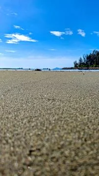 Vertical low angle of sandy beach landscape with copy space and blue sky Stock Photos