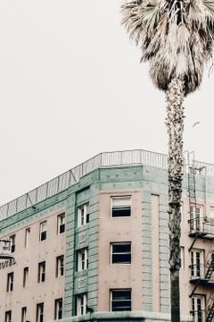 Vertical low-angle shot of architecture with palm trees on the side Stock Photos
