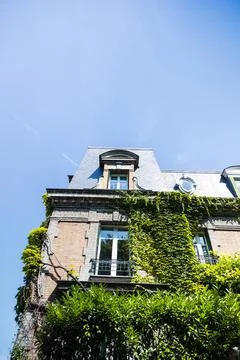 A vertical low-angle shot of the building covered with green foliage. Paris,  Stock Photos