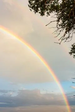 Vertical low angle shot of a double rainbow in the sky captured from a field Stock Photos