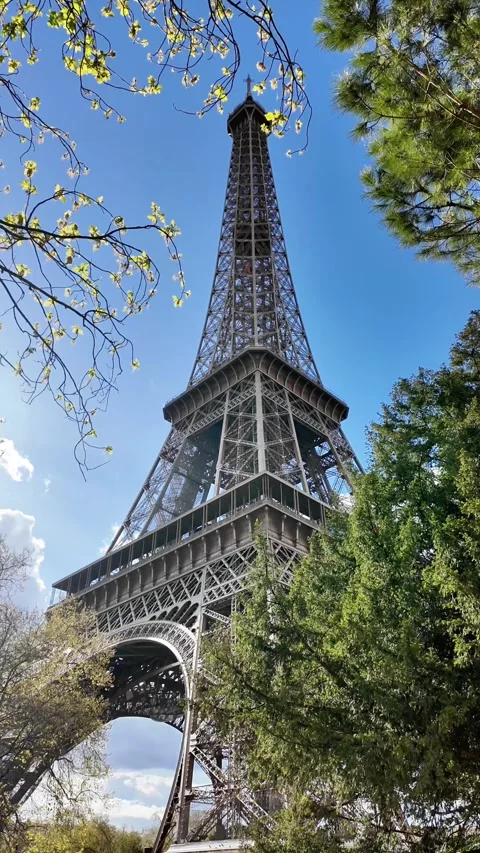 Vertical Low Angle Shot of Eiffel Tower Framed by Spring Trees Vídeos de archivo 332602119