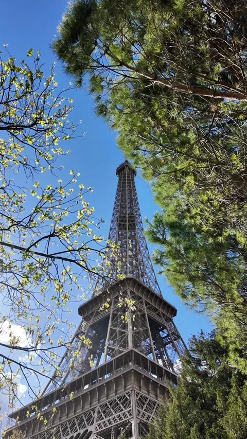 Vertical Low Angle Shot of Eiffel Tower Framed by Pine and Spring Trees Vídeos de archivo 332602120