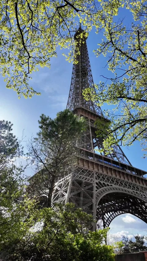 Vertical Low Angle Shot of Eiffel Tower Framed by Green Trees Vídeos de archivo 332602126