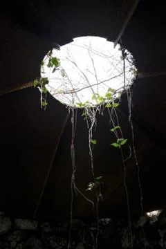 A vertical low angle shot of a hole in a building with tree leaves hanging in Foto stock