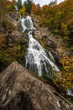 Vertical low-angle shot of a tiny waterfall in the woods Stock Photos