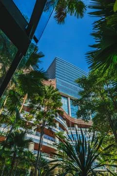 Vertical Low Angle of Skyscraper and Tropical Garden Fotos de archivo
