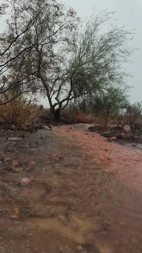 Vertical Low Angle View Of AZ Desert Monsoon Rain water Running In Wash Stock Footage 345908110
