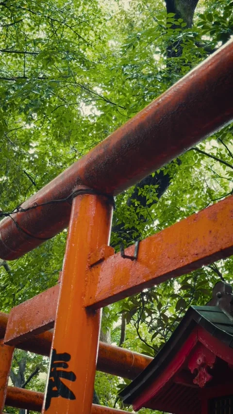 Vertical low angle of wet Japanese vermilion torii gate in rain Stock Footage 346802246