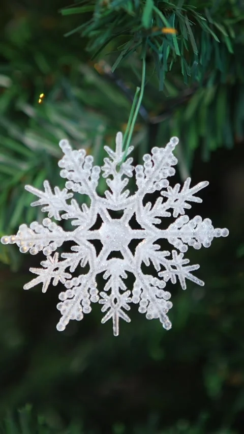 Vertical The lush fir tree branches come to life with addition of Xmas snowflake Stock Footage 313075805