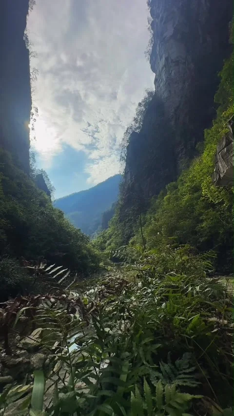 Vertical Lush Green Valley Between Steep Cliffs 動画素材 334016675