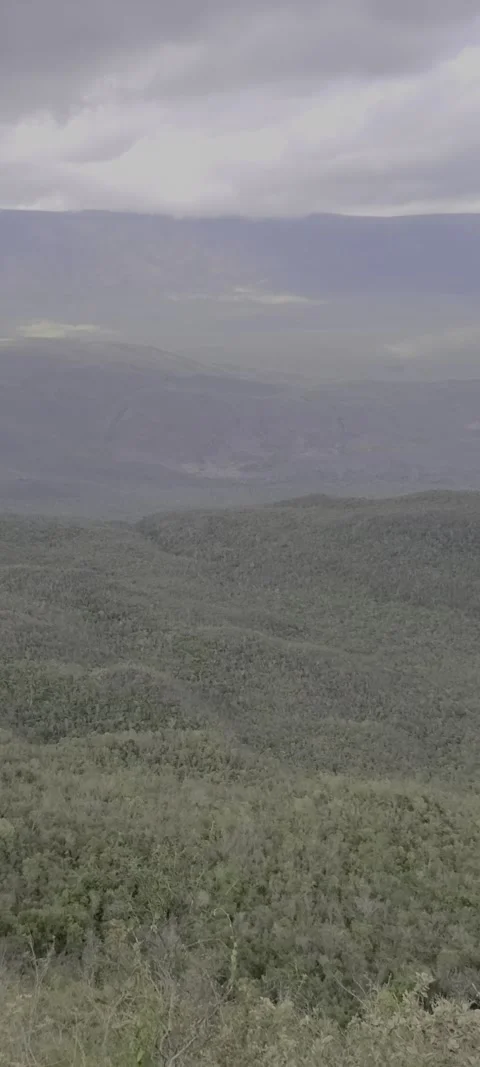 Vertical lush green valley with multiclimate conditions Stock Footage 329072474