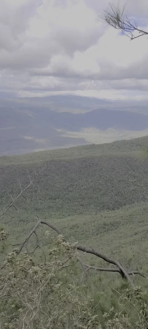 Vertical lush green valley with multiclimate conditions Video stock 329072476