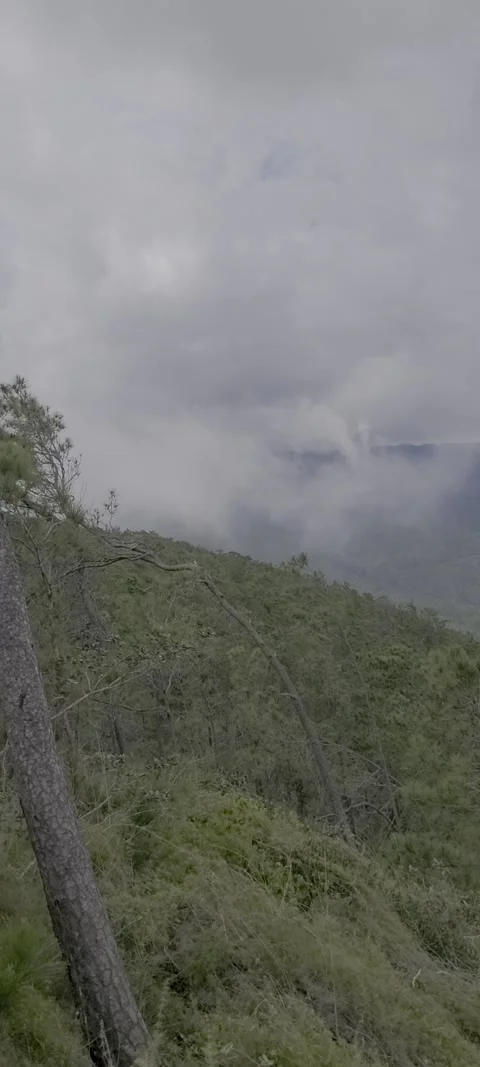 Vertical lush green valley with multiclimate conditions Stock-Footage 329072485