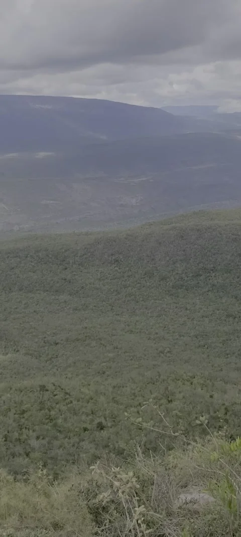 Vertical lush green valley with multiclimate conditions 스톡 동영상 329072486
