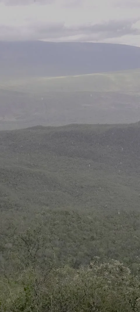 Vertical lush green valley with multiclimate conditions Video stock 329072494