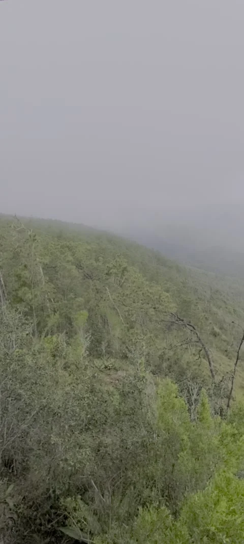 Vertical lush green valley with multiclimate conditions Stock Footage 329072501