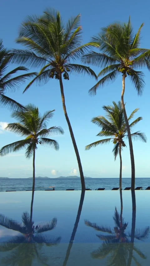 Vertical luxury swimming infinity pool at sunset. Beautiful reflection of 스톡 동영상 303739470