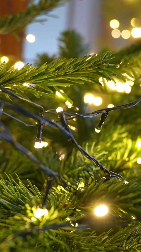 Vertical macro of black-wire micro LEDs wrapped on fresh spruce needles, warm Stock Footage 325753268
