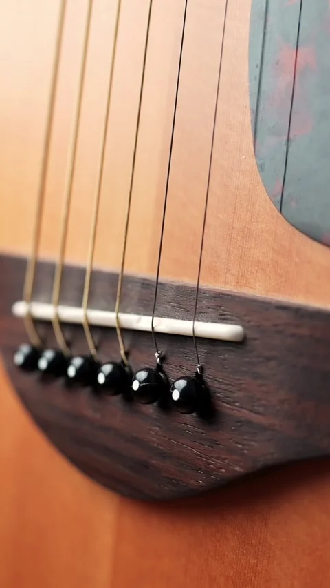 Vertical macro close-up of an acoustic guitar bridge with black bridge pins and Stock Footage 329481104