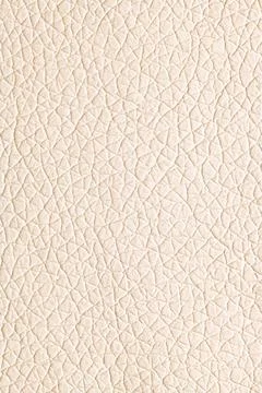 Vertical macro close-up showcasing the intricate, finely-grained texture of.. Foto stock