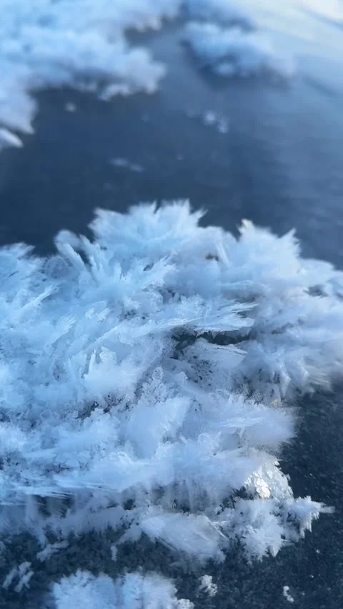 Vertical Macro Close up of Winter Ice Flowers 動画素材 334725487