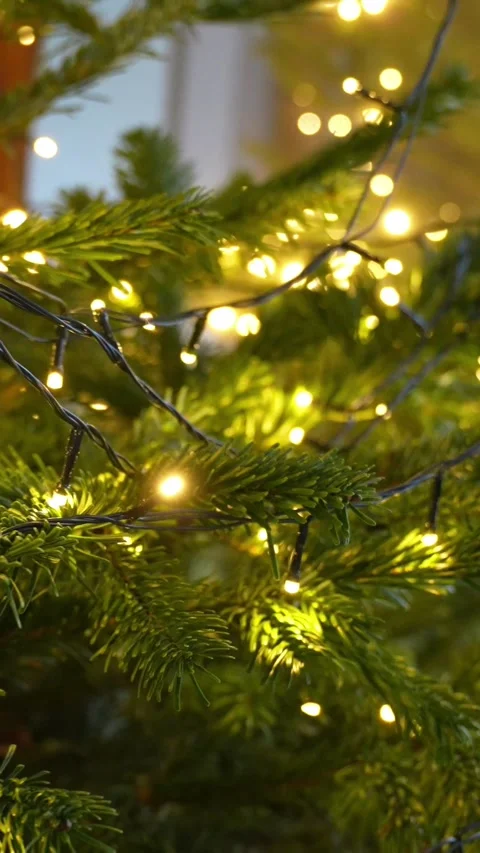 Vertical macro of a fir branch with black fairy-light wire and warm bokeh Stock Footage 325842908