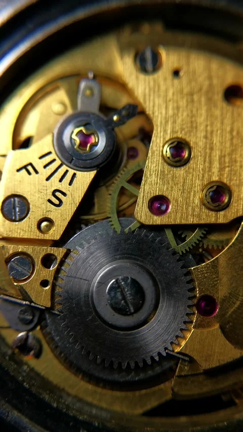 Vertical Macro of Gears, Ruby Jewels, and F/S Regulator 스톡 동영상 339521661