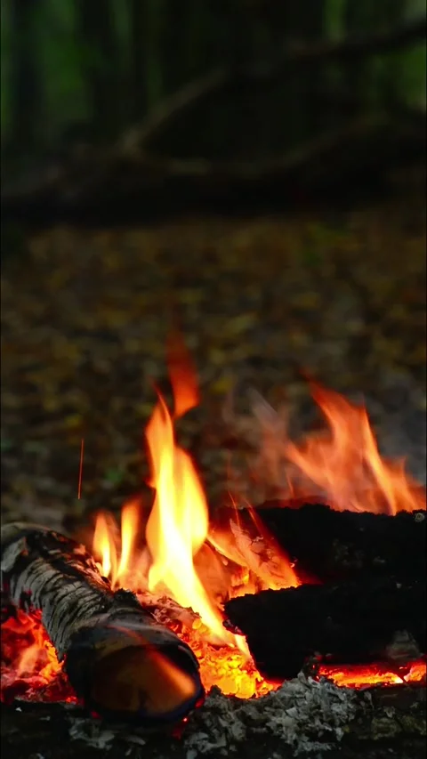 Vertical macro shot of intense fire and hot flame burning on logs in woods Stock Footage 345716352