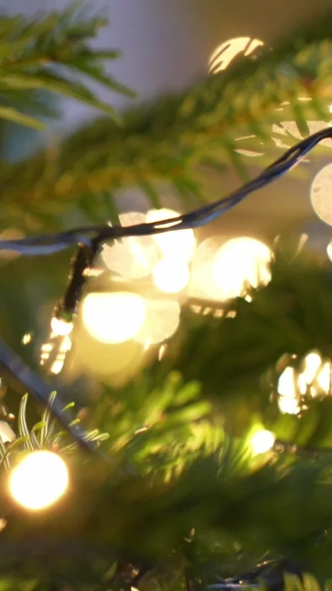 Vertical macro shot of LED string lights wrapped on a fir branch, glowing bulbs Stock Footage 325842725