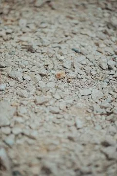 Vertical macro shot of small rocks on a grainy ground Stock-Fotos