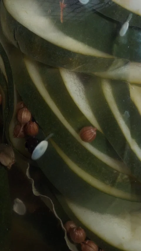 Vertical Macro Spinning Pickled Cucumber Texture Background Stock Footage 324923460