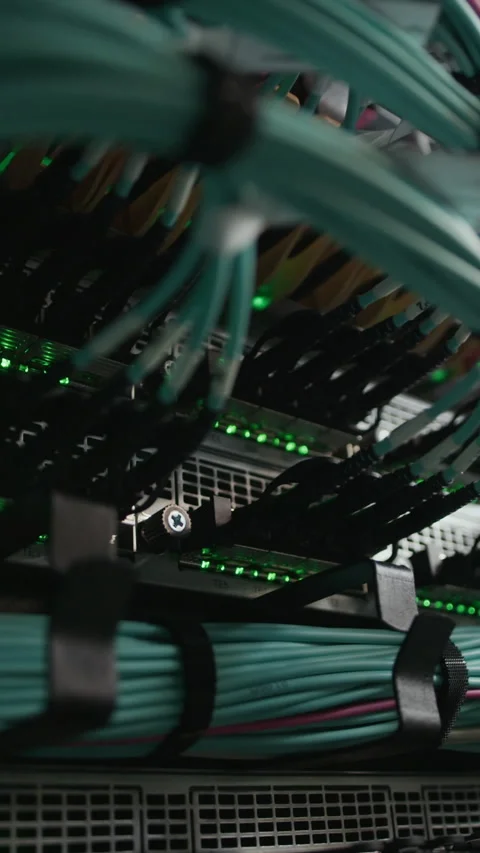 Vertical Macro View of Blinking Network Switch Indicator Lights Stock Footage 330541369
