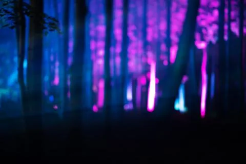 Vertical magic forest bokeh background Foto stock