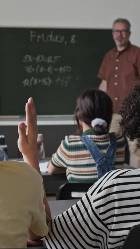 Vertical of Male Teacher Explaining Math on Blackboard with Student Raising Hand Stock Footage 339686140