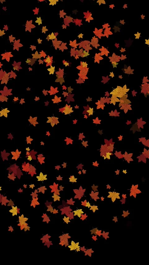 Vertical Maple Leaves Matte Loop Stock Footage 319885125