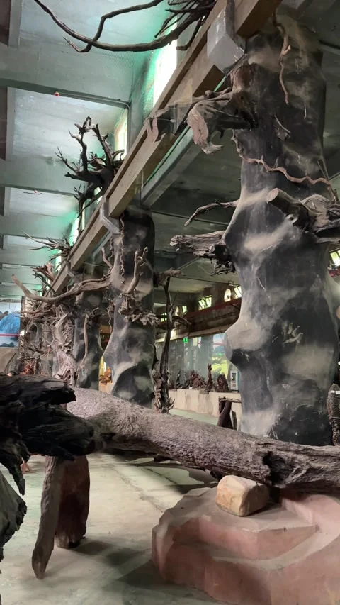 Vertical Massive Raw Wood Pillar in Exhibition Hall Bali Village 4K Stock-Footage 331897020