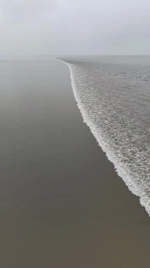 Vertical Massive Tidal Bore Wave in Qiantang River Stock Footage 333937550