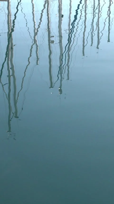 Vertical mast reflections in calm marina water, abstract background Video stock 332647288