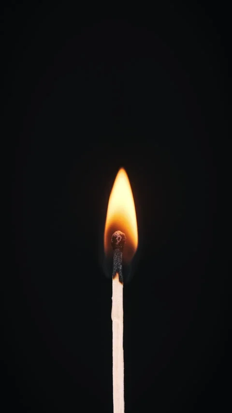 Vertical Match Stick Ignites and Burns on a Black Background Close-Up Stock Footage 264811035