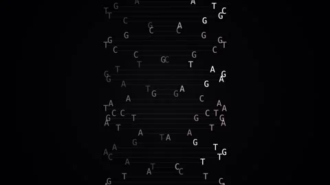 Vertical Matrix Style Falling DNA Sequence Letters on Black Background Stock Footage 334770061