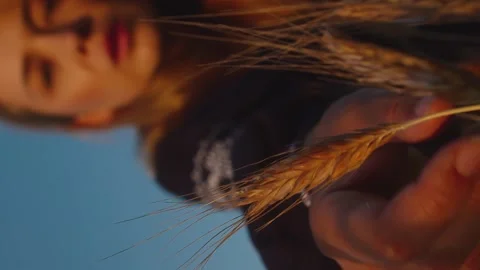 Vertical meditative wheat ears and woman out of focus, meditation concept Stock Footage 246959369