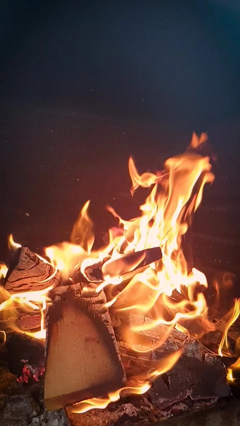 Vertical medium shot of a crackling campfire with intense orange flames Stock Footage 331237578