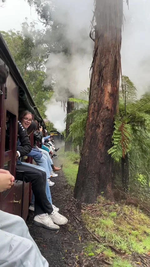 Vertical Medium Shot of Passengers Dangling Legs from Open Carriage of Puffing 動画素材 345782022