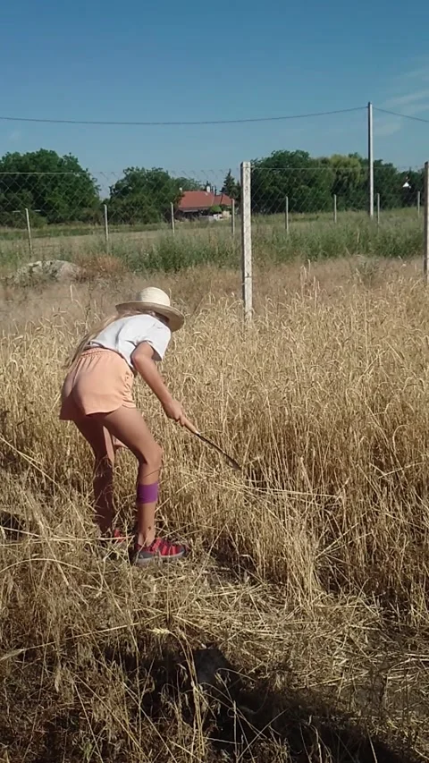 Vertical Medium Side View of Preteen Girl in Straw Hat Harvesting Wheat with 動画素材 345042186
