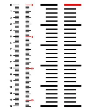 Vertical Meter Ruler Vector Illustration Stock Illustration