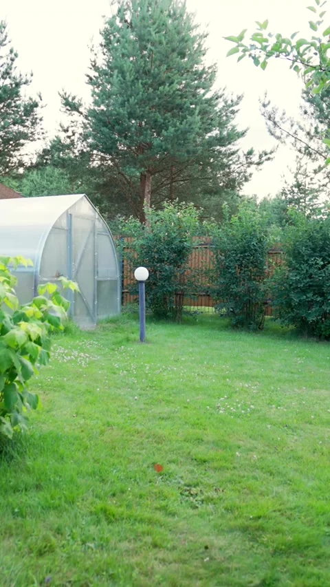 Vertical of Middle-aged owner goes to water trees in well-kept garden Stock Footage 275620861