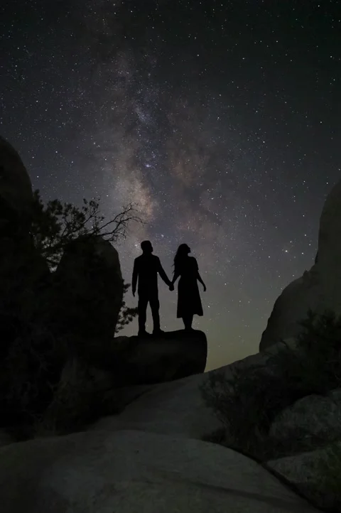 Vertical Milky Way Time Lapse WIth Loving Couple Stock Footage 161368866