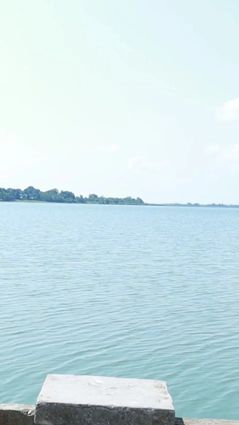Vertical Minimalist Lake View with Distant Forest Video stock 333554495