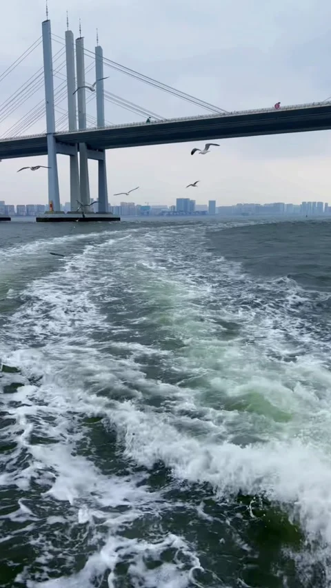 Vertical Minimalist Ocean Horizon With Bridge And Birds Stock-Footage 334766033