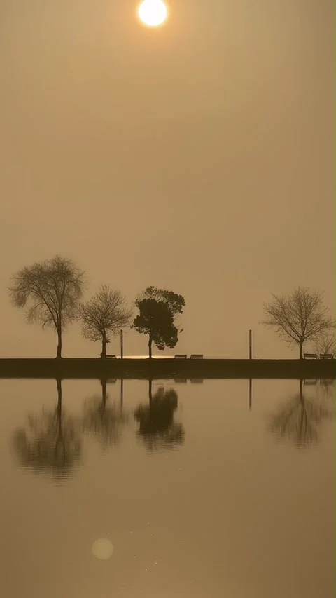Vertical Minimalist Reflection of Sun and Trees in Lake Vídeos de archivo 333488098